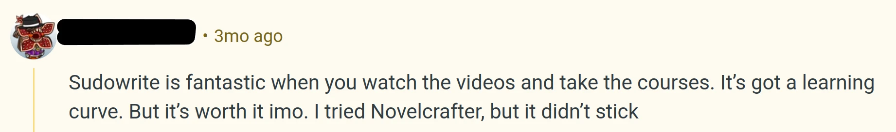 User Review: Sudowrite is great after you learn how to use it.